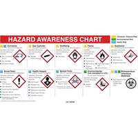 Mini MSDS Chart- English SPOC Demo