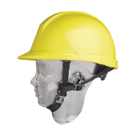 North&reg; Hardhat Chinstrap SPOC Demo