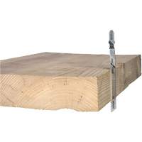 Wood Cutting Jigsaw Blade, High-Carbon Steel, T-Shank, 4" L, 10 TPI SPOC Demo