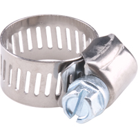 Colliers de serrage pour tuyaux - Collier de serrage en acier inoxydable & vis zingu&eacute;e, Dia. min 1/2", Dia. max 1-1/8" SPOC Demo