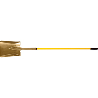 Shovels & Scoops SPOC Demo