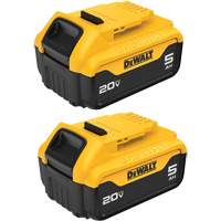 Max XR&reg; Premium Battery Pack, Lithium-Ion, 20 V, 5 A SPOC Demo