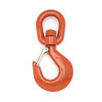 Latched Swivel Hoist Hook SPOC Demo
