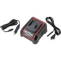 Chargeur de batterie 2,5 Ah et 5,0 Ah, 120 V, Lithium-ion SPOC Demo
