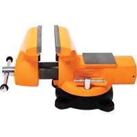 Mechanic's Bench Vise with Anvil, 8" Jaw Width SPOC Demo