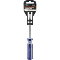 Tournevis &agrave; fente bleu transparent avec bandes, Tige de 1/4", Ronde, Prise en Plastique SPOC Demo