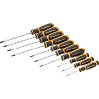 Jeu de tournevis bimat&eacute;riau Torx dans un plateau de rangement en mousse, 10 mcx SPOC Demo