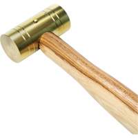 Brass Hammer with Hickory Handle, 1 lbs Head Weight, 11" L SPOC Demo