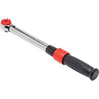 Cl&eacute; dynamom&eacute;trique &agrave; microm&egrave;tre, &agrave; cadran, Entraînement 3/8" carr&eacute;, 50 - 250 lb-po SPOC Demo