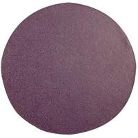 Replacement Sanding Pad, 6" Dia. SPOC Demo