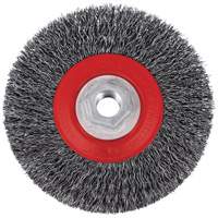 5C14T High Performance Crimped Wire Brush, 5" Dia., 0.014" Fill, 5/8"-11NC Arbor SPOC Demo
