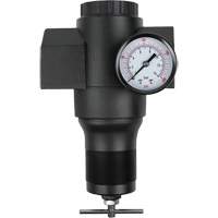 R&eacute;gulateur en aluminium, 1-1/2" NPT, PSI max. de 300 psi, Canalisation SPOC Demo