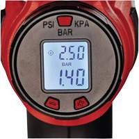 CE-CC 18 Li 18V Cordless High Pressure Inflator with Digital Gauge (Tool Only) SPOC Demo