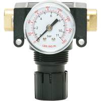 D&eacute;tendeur &agrave; piston en ac&eacute;tal MODULAIR 200, 1/4" NPT, PSI max. de 150 psi, Canalisation/Modulaire SPOC Demo