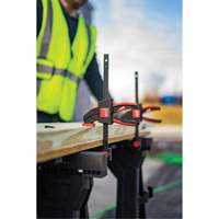 Medium Trigger Clamps Set, 12" (304.8 mm) SPOC Demo