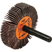 Flap Wheels-Coolcut Flap Wheels, Aluminum Oxide, 80 Grit, 2" x 3/8" x 1/4" SPOC Demo