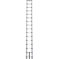 &eacute;chelle t&eacute;lescopique, 3' - 15,5', Aluminium, Capacit&eacute; de 250 lb, Type 1 SPOC Demo