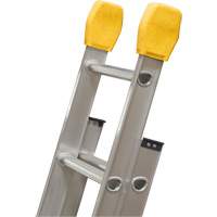 Ladder Mitts SPOC Demo