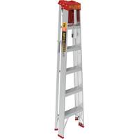 Step Ladder with Paint Tray, 6', Aluminum, 200 lbs. Capacity, Type 3 SPOC Demo