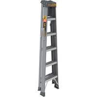Step Ladder with Paint Tray, 6', Fibreglass, 225 lbs. Capacity, Type 2 SPOC Demo