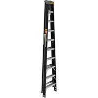 Step Ladder with Paint Tray, 10', Fibreglass, 250 lbs. Capacity, Type 1 SPOC Demo