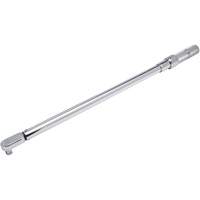 Fixed Head Micrometer Torque Wrench, Click, 1/2" Square Drive, 50-250 ft-lbs. SPOC Demo