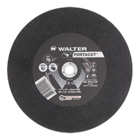 Portacut High Speed Cut-Off Wheel, 12" x 1/8", 3/4" Arbor, Type 1, Silicon Carbide, 6300 RPM SPOC Demo