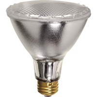 Economy Line Lamps SPOC Demo