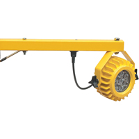 Lampes DEL pour quais de chargement - Robustes, 300 W, Ampoule DEL, Bras 60" SPOC Demo