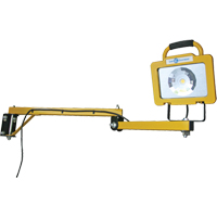 Lampe robuste pour quais, Bras 40", 38 W, Ampoule DEL, M&eacute;tal SPOC Demo