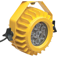 Heavy-Duty LED Dock Light - Head Only SPOC Demo