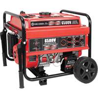 Electric Start Gas Generator with Wheel Kit, 6500 W Surge, 5000 W Rated, 120 V/240 V, 20 L Tank SPOC Demo