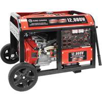 Electric Start Gas Generator with Wheel Kit, 12000 W Surge, 9000 W Rated, 120 V/240 V, 31 L Tank SPOC Demo