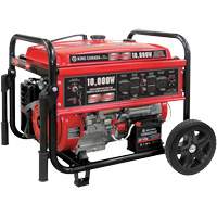 Gasoline Generator with Electric Start, 10000 W Surge, 7500 W Rated, 120 V/240 V, 25 L Tank SPOC Demo