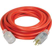 Generator Extension Cord with Quad Tap, Outdoor, 10 AWG, 30 A, 4 Outlet(s), 25' SPOC Demo