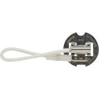 H3 Basic Fog Bulb, Halogen, 70 W, Off White SPOC Demo