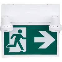 Enseigne d'homme qui court avec &eacute;clairage de s&eacute;curit&eacute;, DEL, &agrave; piles/&agrave; raccordement fixe, 12-1/10" lo x 11" la, Pictogramme SPOC Demo