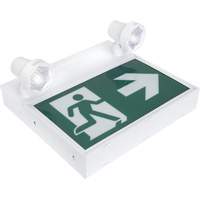 Enseigne d'homme qui court avec &eacute;clairage de s&eacute;curit&eacute;, DEL, &agrave; piles/&agrave; raccordement fixe, 12-1/10" lo x 11" la, Pictogramme SPOC Demo