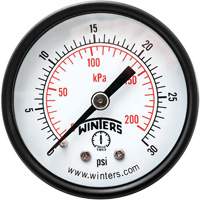 Manom&egrave;tre &eacute;conomique,  2", 0 - 30 psi, Fixation arri&egrave;re, Analogique SPOC Demo