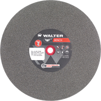 Bench Grinding Wheel, 10" x 1-1/4", 1" Arbor, 1 SPOC Demo